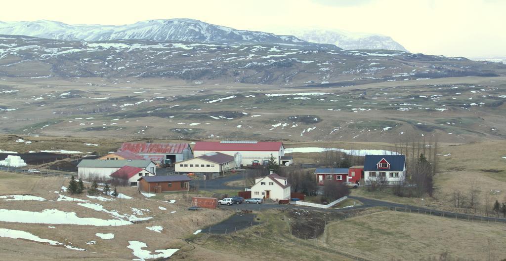 Guesthouse Steinsholt المظهر الخارجي الصورة